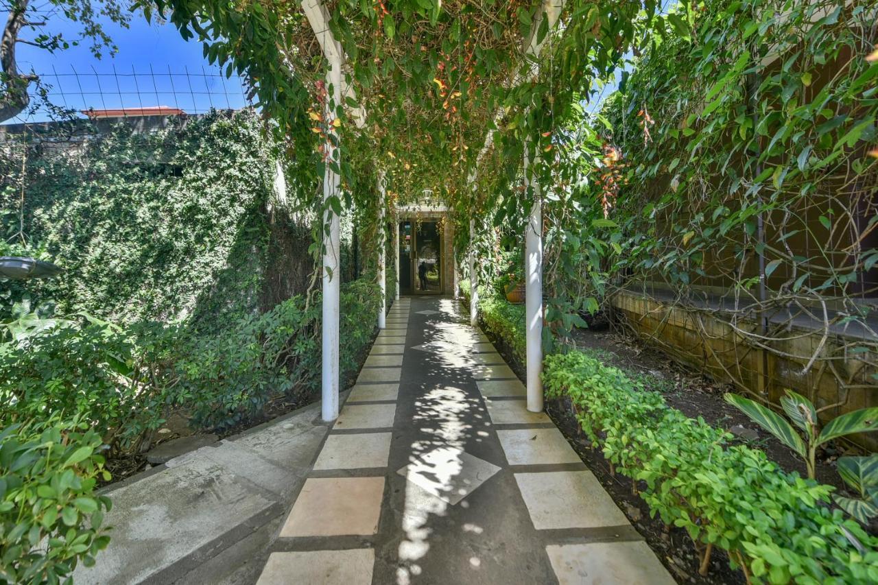 La Riviera Hotel San Antonio De Belen Екстериор снимка